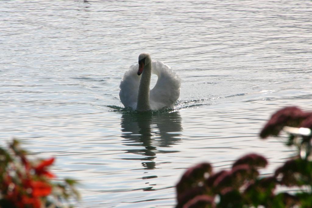 Haus Am See Sankt Kanzian am Klopeiner See Buitenkant foto